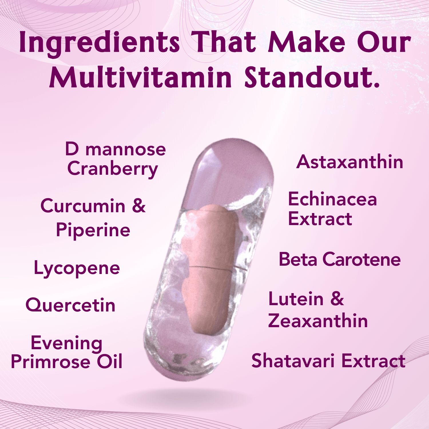 Key ingredients in our multivitamin, including Astaxanthin, Shatavari Extract, and Curcumin & Piperine.