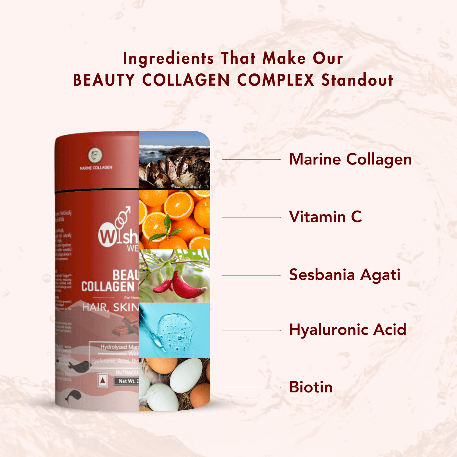 Beauty Collagen Belgian Chocolate | Marine Collagen for Hair, Skin & Nails