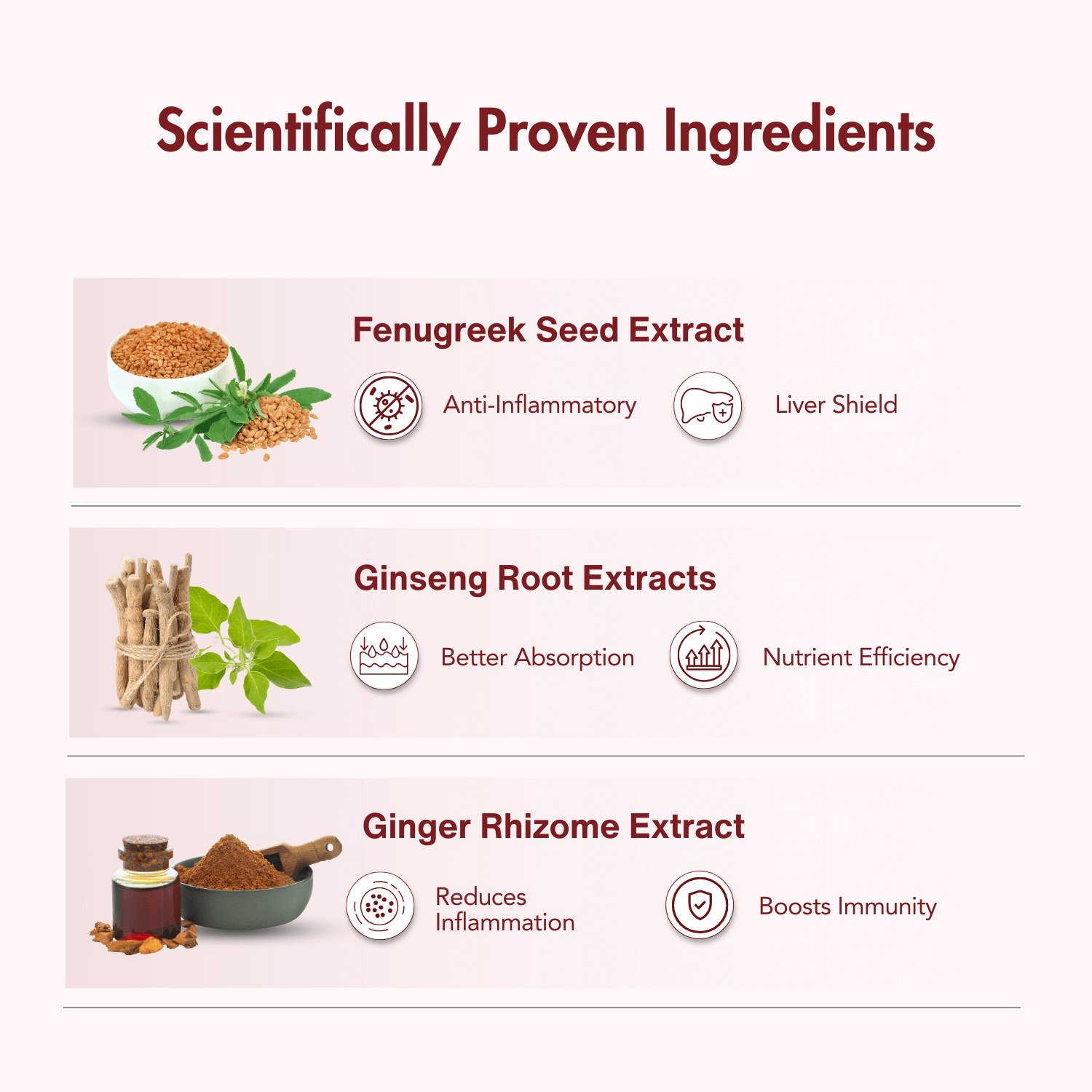 Infographic showcasing the scientifically proven ingredients of WishNew Wellness Alpha Testo Booster. Highlights include Fenugreek Seed Extract for anti-inflammatory benefits and liver protection, Ginseng Root Extracts for better absorption and nutrient efficiency, and Ginger Rhizome Extract to reduce inflammation and boost immunity.