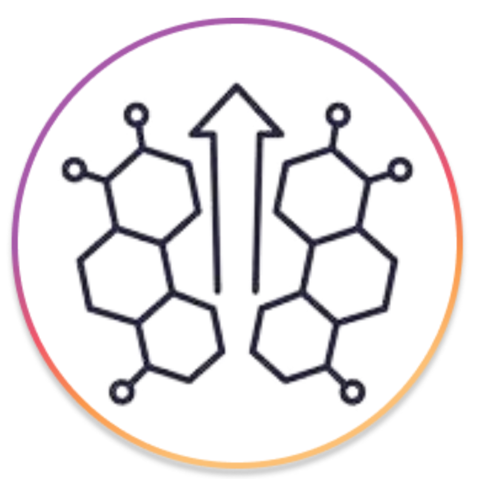 Boosts_Natural_Testosterone_Production