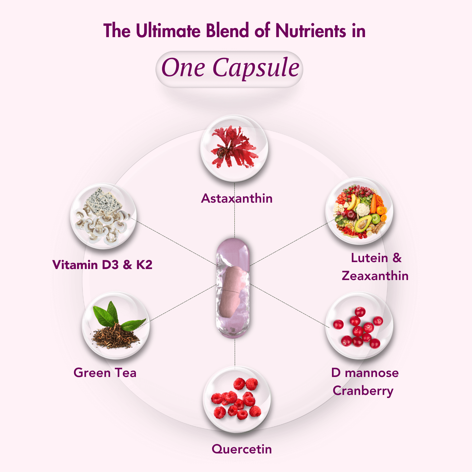 A graphic titled "The Ultimate Blend of Nutrients in One Capsule," featuring a pink transparent capsule at the center. Surrounding the capsule are visuals of ingredients labeled as "Astaxanthin," "Lutein & Zeaxanthin," "D Mannose Cranberry," "Quercetin," "Green Tea," and "Vitamin D3 & K2." The design uses a soft pink background to emphasize health and wellness.