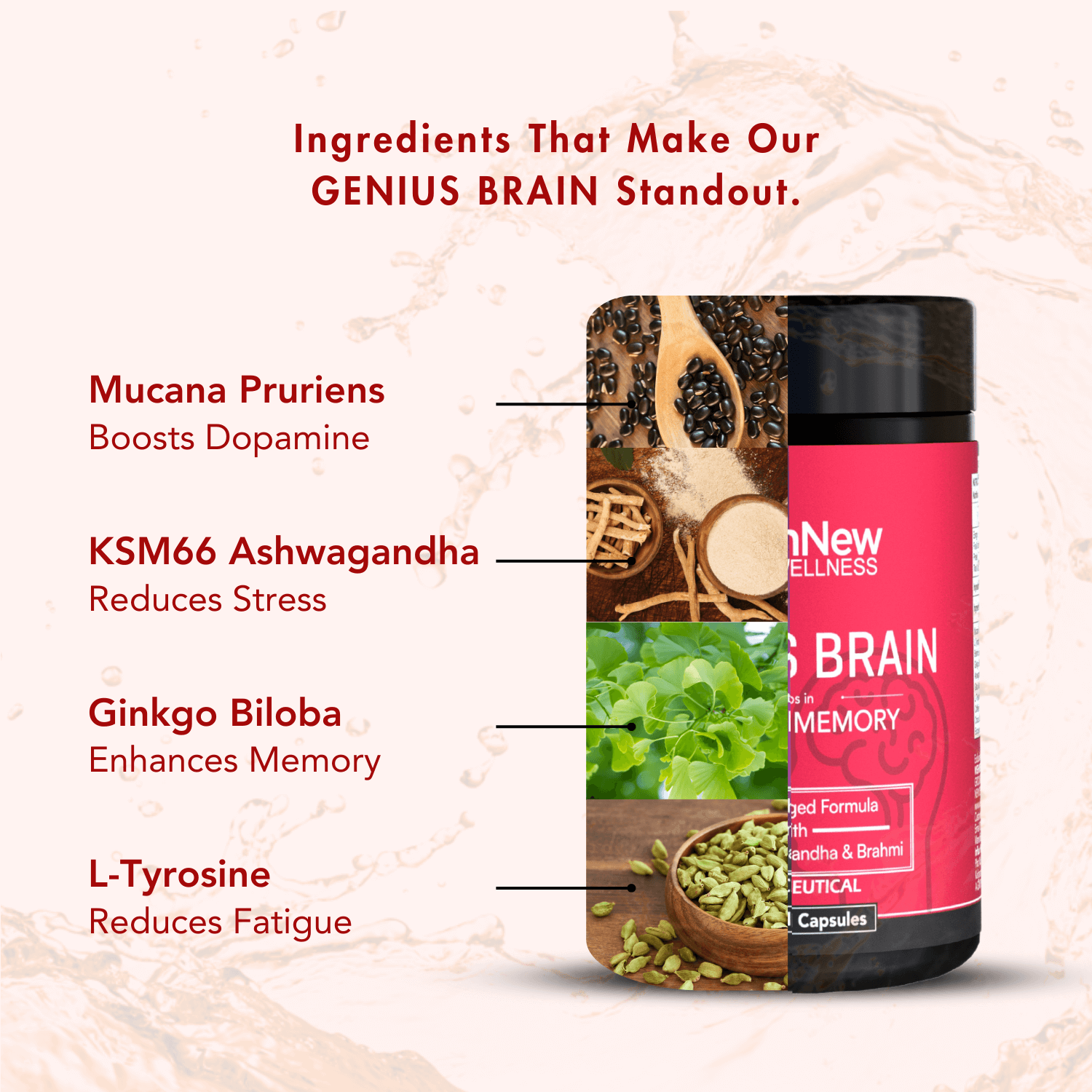 Key Ingredients in Genius Brain: Mucana Pruriens boosts dopamine, KSM66 Ashwagandha reduces stress, Ginkgo Biloba enhances memory, and L-Tyrosine reduces fatigue.