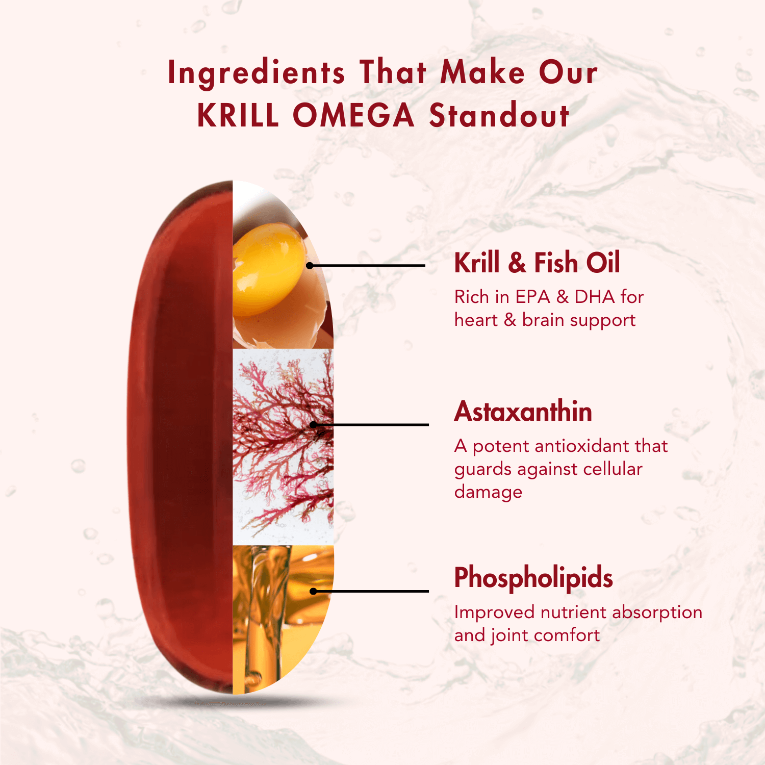 Infographic highlighting the key ingredients of WishNew Wellness Krill Omega. The image features a close-up of a softgel capsule, divided into sections. Each section represents an ingredient: Krill & Fish Oil (rich in EPA & DHA for heart & brain support), Astaxanthin (a potent antioxidant that guards against cellular damage), and Phospholipids (improving nutrient absorption and joint comfort). The background includes a water splash effect.