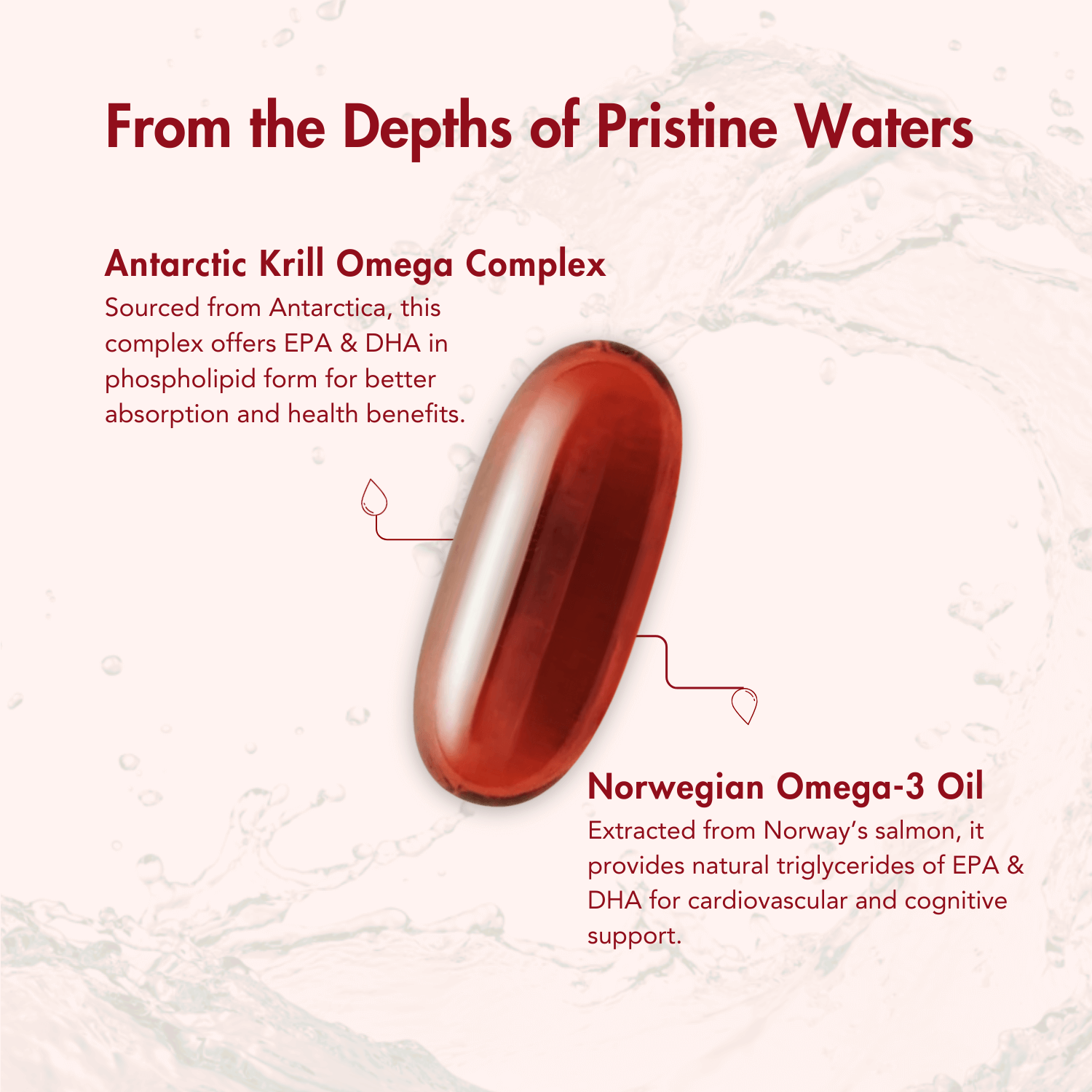 Infographic highlighting the source and benefits of two key ingredients in WishNew Wellness Krill Omega. The image features a close-up of the softgel capsule with water splashes in the background. The sections describe the Antarctic Krill Omega Complex (sourced from Antarctica, offering EPA & DHA in phospholipid form for better absorption) and Norwegian Omega-3 Oil (extracted from Norway's salmon, providing natural triglycerides of EPA & DHA for cardiovascular and cognitive support).