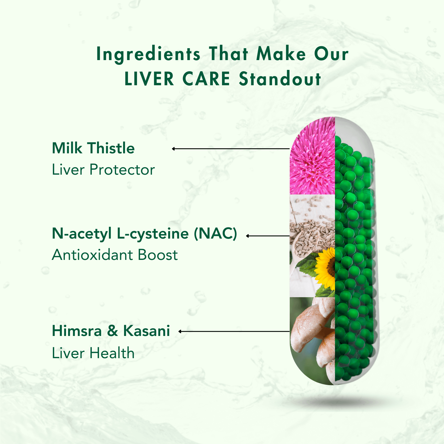 Infographic highlighting the key ingredients of WishNew Wellness Liver Care supplement. Features include Milk Thistle as a liver protector, N-acetyl L-cysteine (NAC) for an antioxidant boost, and Himsra & Kasani for overall liver health. The image showcases a capsule with ingredient visuals and green pellets, emphasizing the advanced formulation.