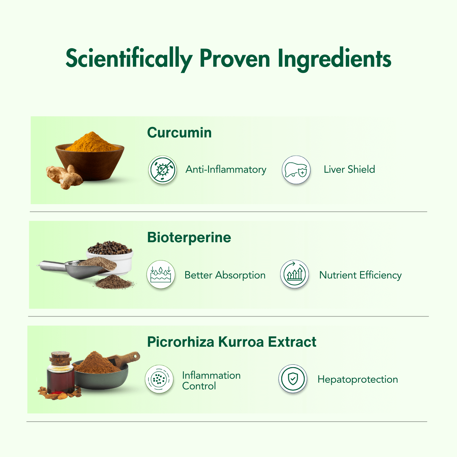 Infographic highlighting the scientifically proven ingredients in WishNew Wellness Liver Care supplement. Features include Curcumin for anti-inflammatory benefits and liver shielding, Bioperine for better absorption and nutrient efficiency, and Picrorhiza Kurroa Extract for inflammation control and hepatoprotection. Each ingredient is paired with descriptive icons and visuals.