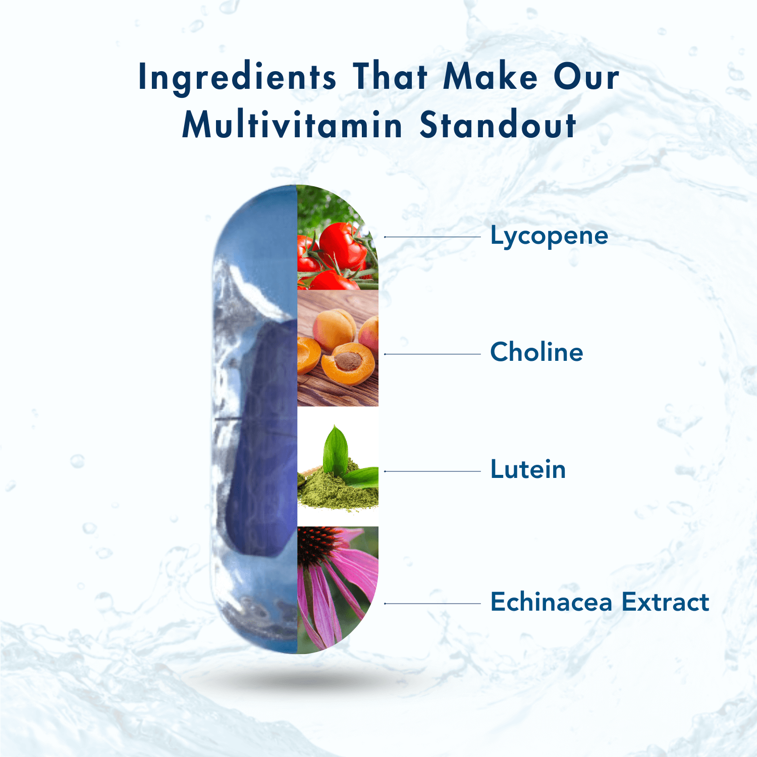 An infographic titled "Ingredients That Make Our Multivitamin Standout," featuring a transparent capsule design split into sections displaying key ingredients. Visual representations of Lycopene (tomatoes), Choline (apricots), Lutein (green leaves), and Echinacea Extract (purple flowers) are aligned with text labels. The background features subtle water splash effects, emphasizing freshness and health. The overall design highlights the natural and premium components of the multivitamin.