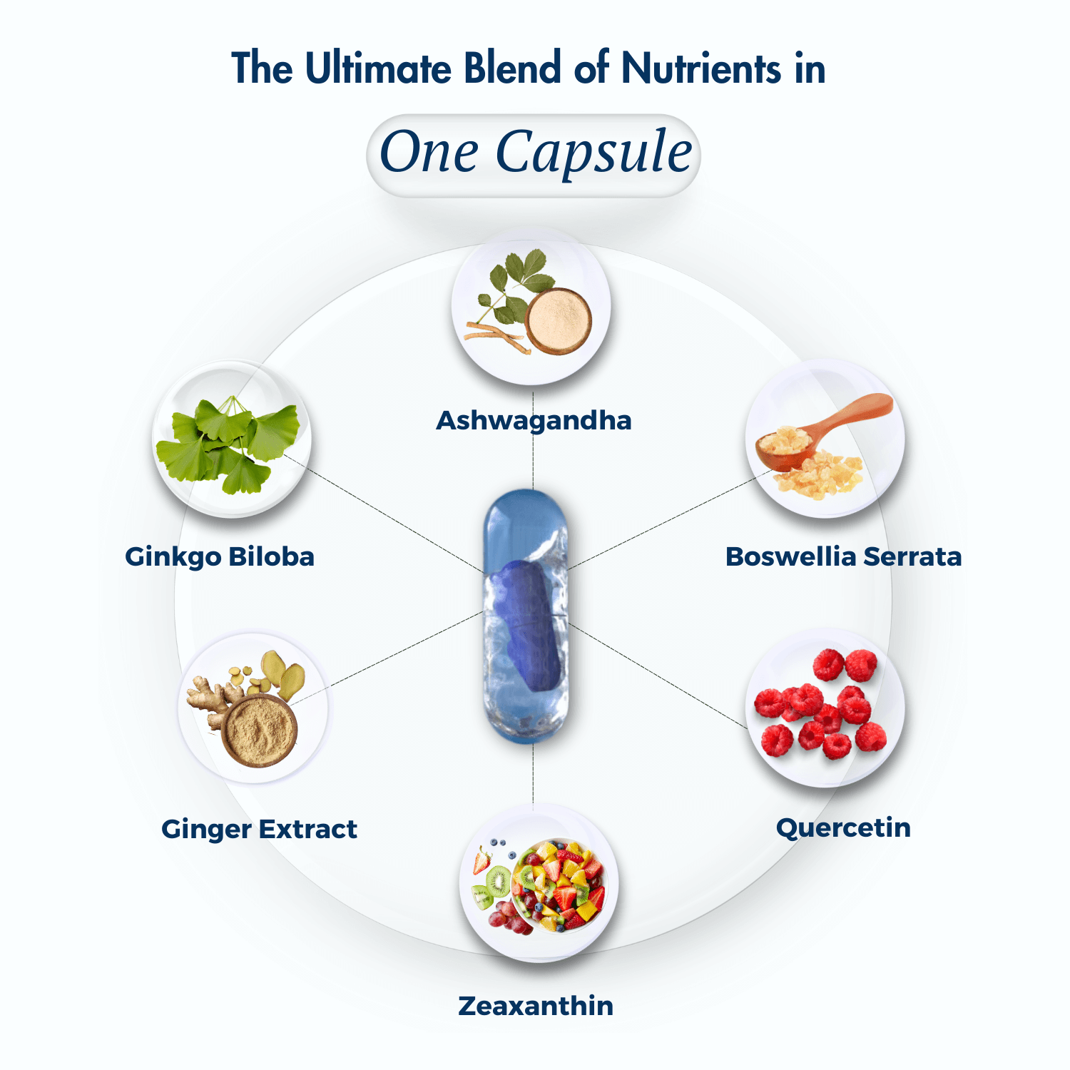 An infographic titled "The Ultimate Blend of Nutrients in One Capsule" featuring a transparent capsule at the center with a blue inner layer. Around the capsule are six labeled ingredients represented with images: "Ashwagandha" (roots), "Boswellia Serrata" (resin), "Quercetin" (berries), "Zeaxanthin" (colorful fruits and vegetables), "Ginger Extract" (ginger root), and "Ginkgo Biloba" (green leaves). 