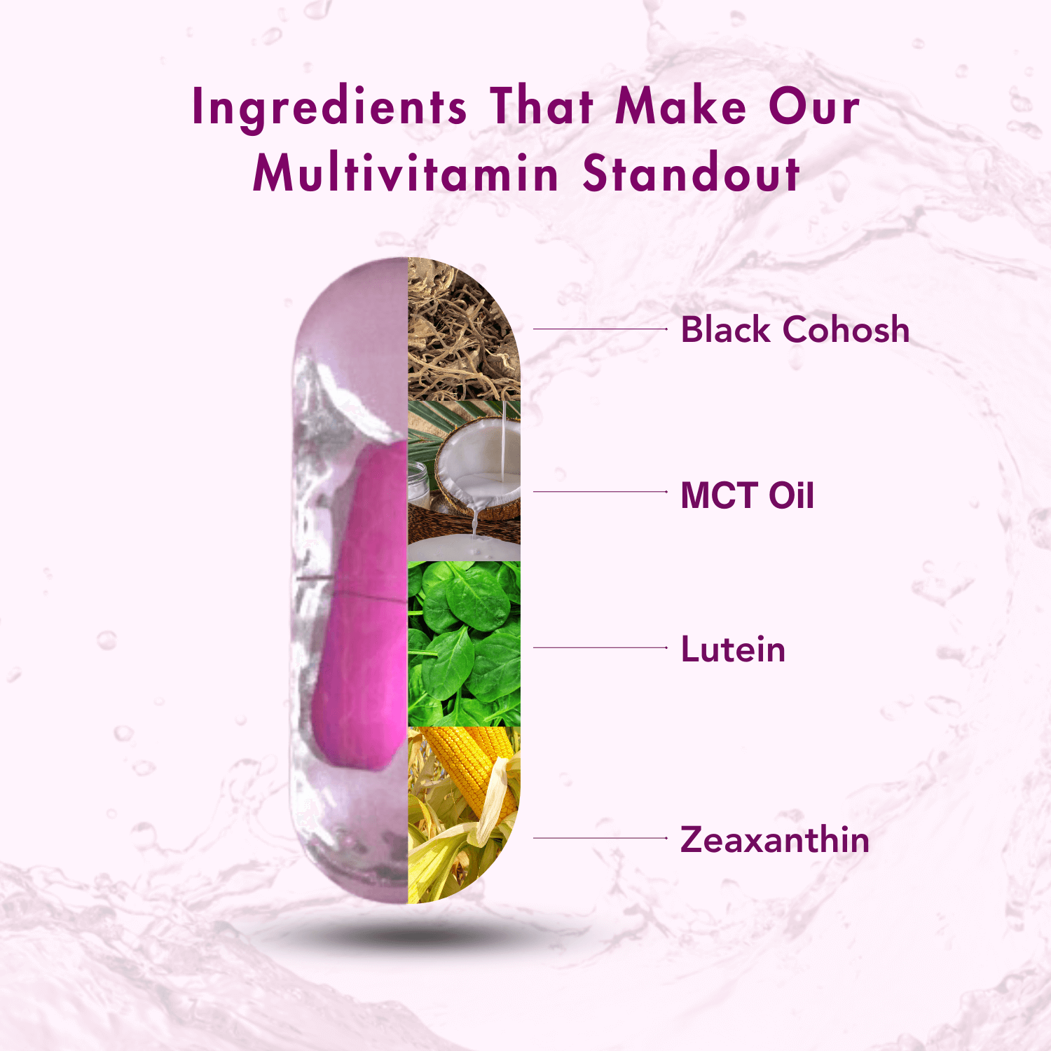 Illustration of standout ingredients in a multivitamin, featuring Black Cohosh for hormonal support, MCT Oil for enhanced energy, Lutein for eye health, and Zeaxanthin for antioxidant benefits, with a segmented capsule design displaying each component visually.