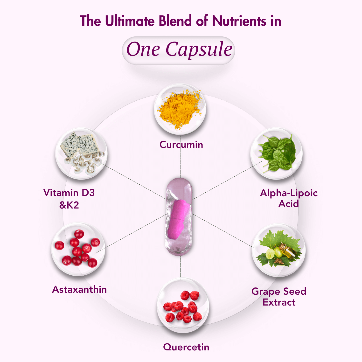 Infographic showcasing the ultimate blend of nutrients in one capsule, featuring key ingredients such as Curcumin, Alpha-Lipoic Acid, Grape Seed Extract, Quercetin, Astaxanthin, and Vitamins D3 & K2, with a visual representation of a dual-layer capsule at the center.