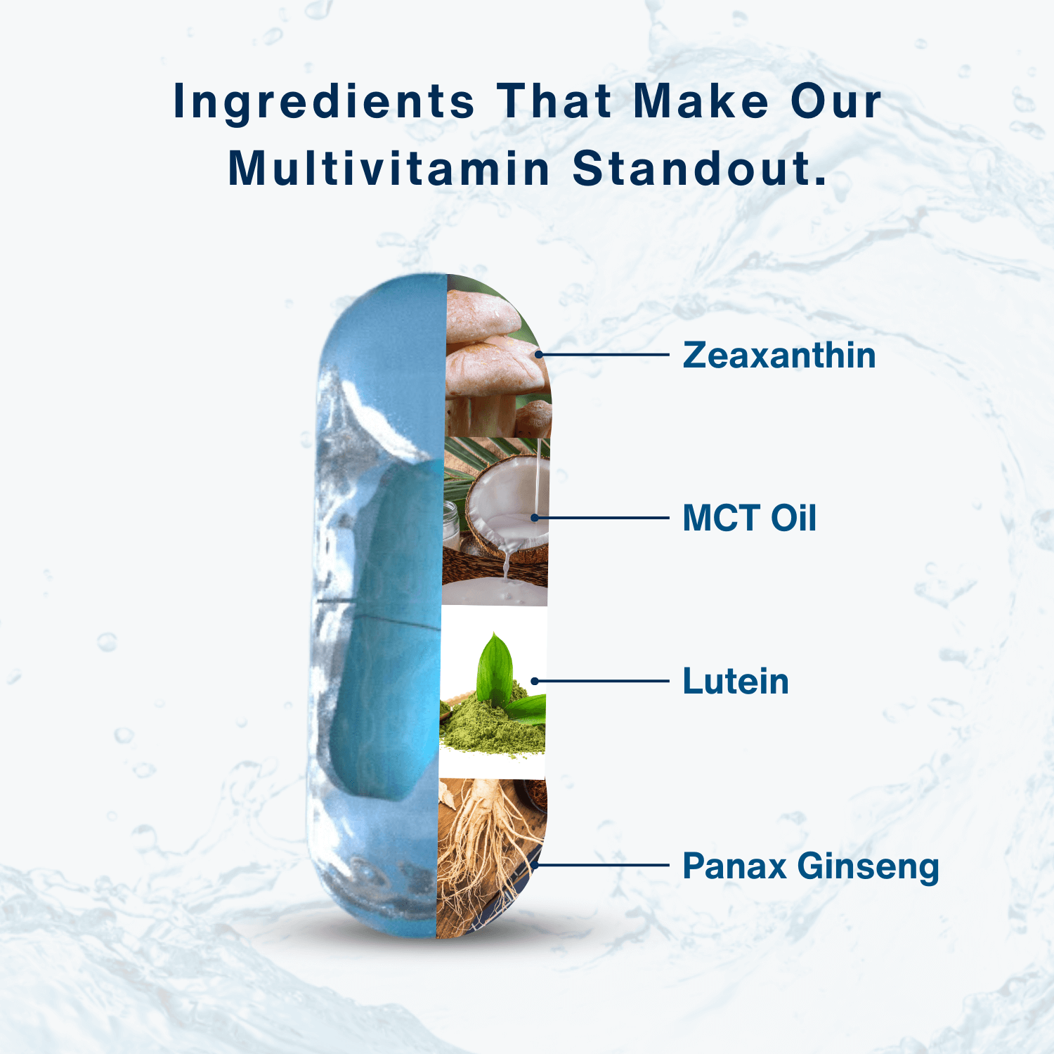 Visual representation of key ingredients in WishNew Wellness multivitamin capsule. The image showcases the transparent capsule with highlights of ingredients: Zeaxanthin, MCT Oil, Lutein, and Panax Ginseng. Each ingredient is accompanied by an illustrative image, enhancing its unique benefit. The background features water splashes for a refreshing and clean design.