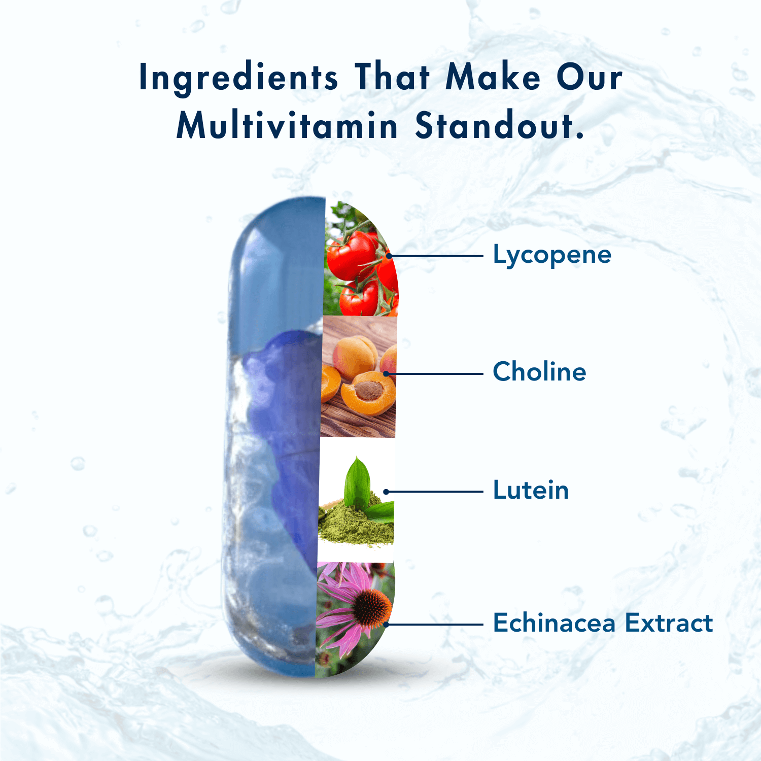 Graphic showing the standout ingredients of a multivitamin capsule, including Lycopene, Choline, Lutein, and Echinacea Extract. Each ingredient is paired with its natural source image inside a transparent capsule design, set against a clean background with water splash accents.