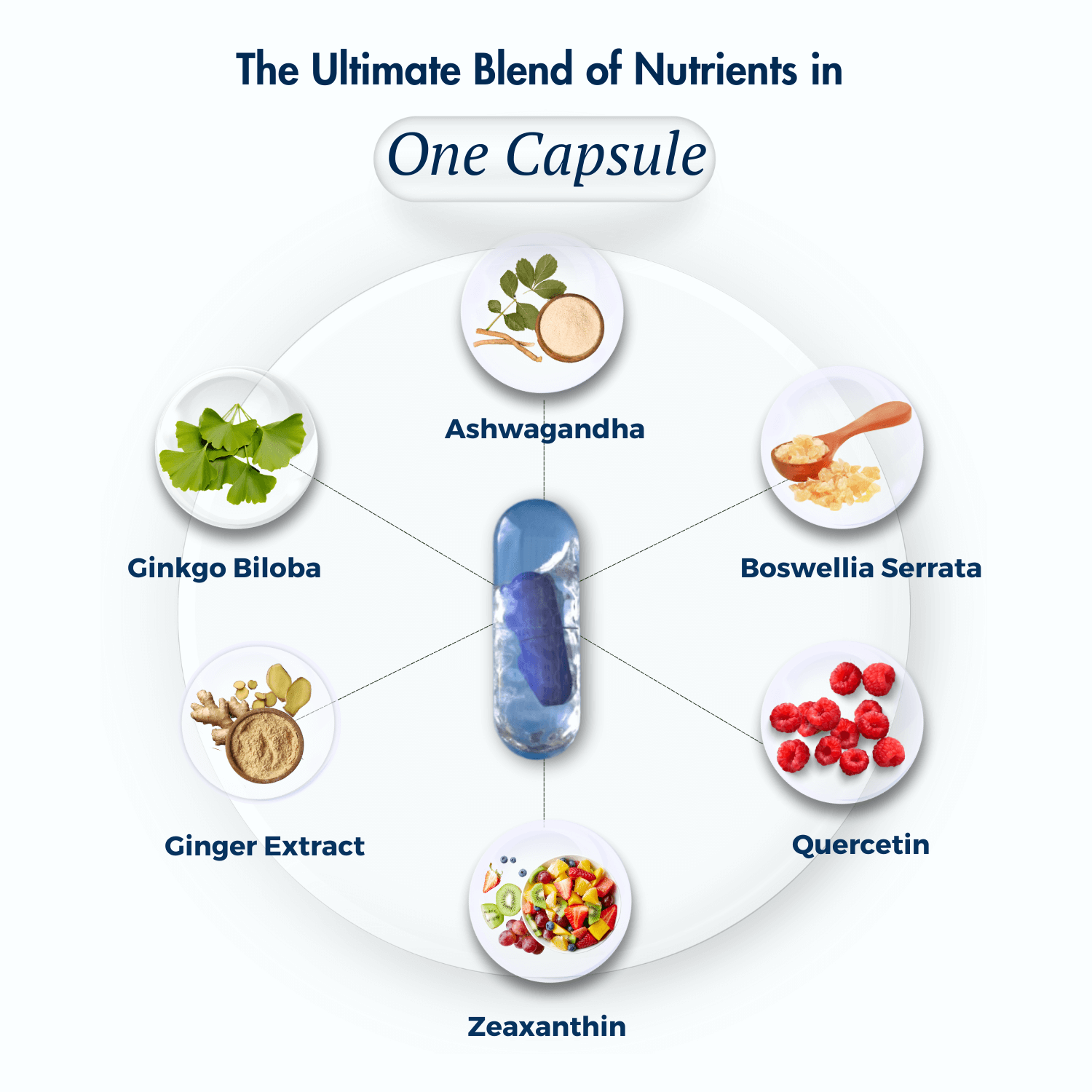 Infographic showcasing 'The Ultimate Blend of Nutrients in One Capsule.' A central capsule is surrounded by nutrient labels with illustrations: Ashwagandha, Boswellia Serrata, Quercetin, Zeaxanthin, Ginger Extract, and Ginkgo Biloba. Clean, circular layout emphasizes the comprehensive formula and natural ingredients.