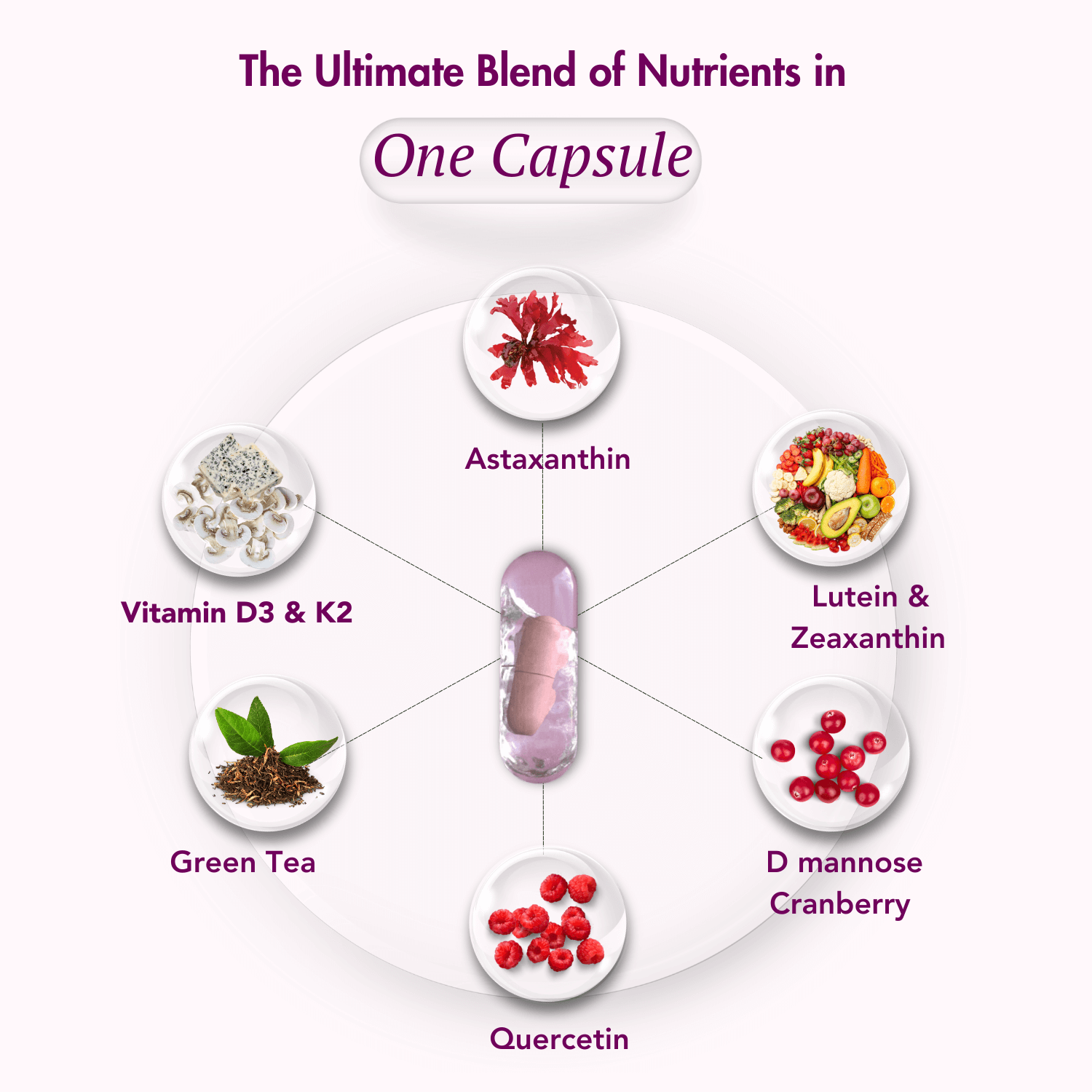 Graphic highlighting the ultimate blend of nutrients in one capsule: Astaxanthin, Vitamin D3 & K2, Green Tea, Quercetin, D-mannose Cranberry, and Lutein & Zeaxanthin.