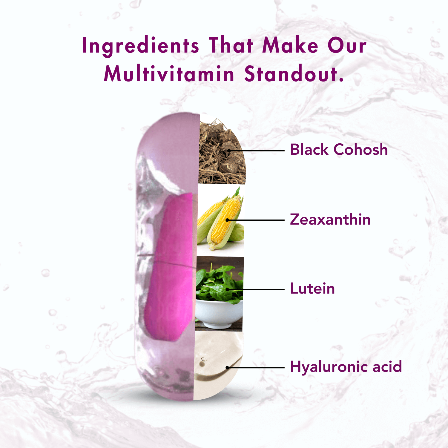 Visual showcasing standout ingredients in the multivitamin: Black Cohosh, Zeaxanthin, Lutein, and Hyaluronic Acid.