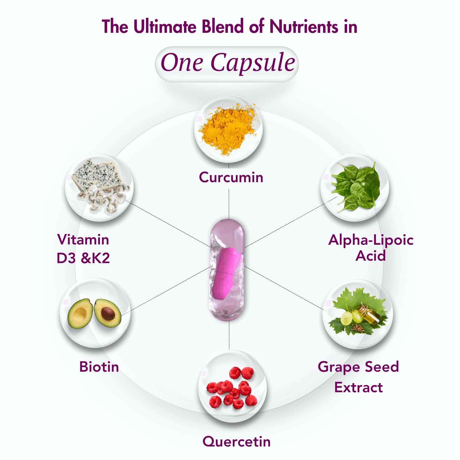 Visual highlighting the ultimate blend of nutrients in one capsule: Curcumin, Vitamin D3 & K2, Alpha-Lipoic Acid, Grape Seed Extract, Quercetin, and Biotin.